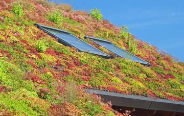 Pentre Isaf living roof systems